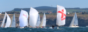 trofeo J80 - pbx sailing team - palibex - destacada